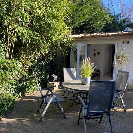 Studio Lief Bergen Binnen, Bij Bos Duin En Dorp Εξωτερικό φωτογραφία