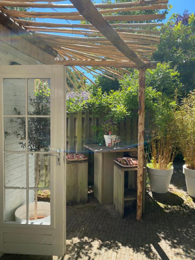 Studio Lief Bergen Binnen, Bij Bos Duin En Dorp Εξωτερικό φωτογραφία
