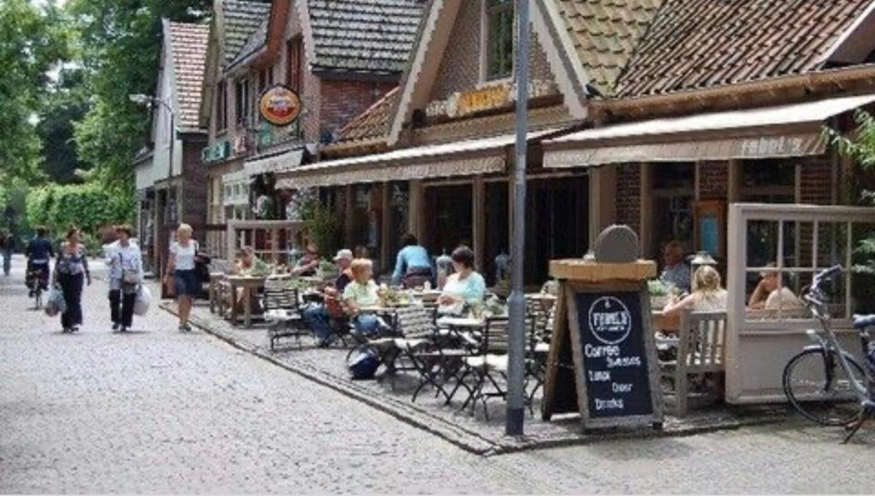 Studio Lief Bergen Binnen, Bij Bos Duin En Dorp Εξωτερικό φωτογραφία